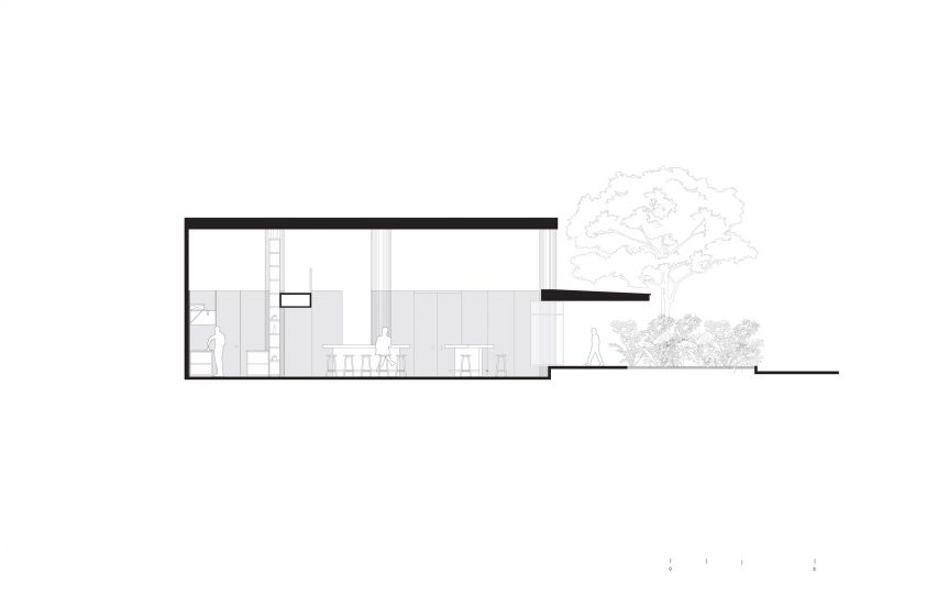 Ninyas section
