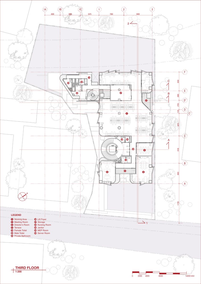 Plan of Sagehaus Office Garden by RAD+ar