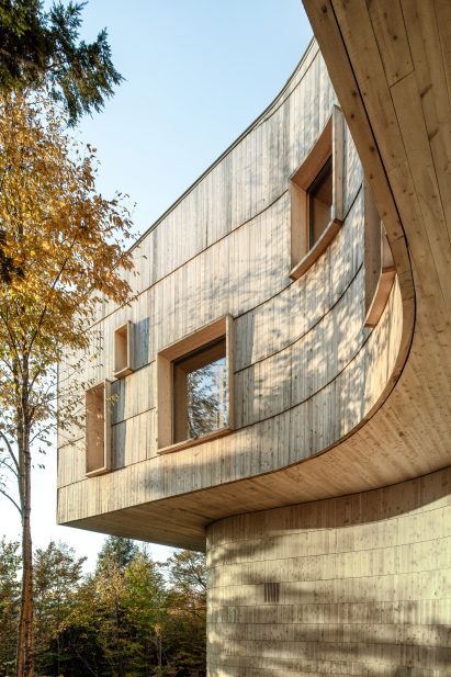 Deep windows puncture curved walls to frame views of the forest