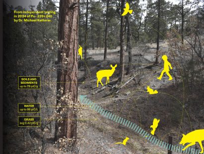 an image of a woodland area with yellow figures