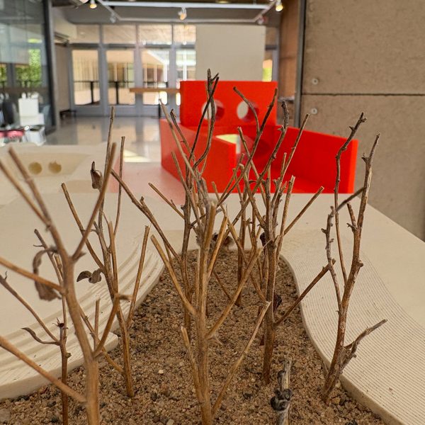 a photograph of student architecture work