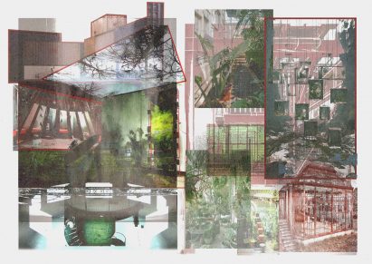a collage of imagery showing built structures and plants