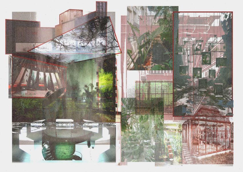 a collage of imagery showing built structures and plants