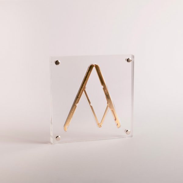 Photo of the Compasso d’Oro at Expo 2025 Osaka award