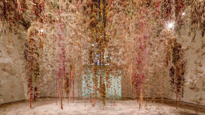 Photo of dried floral installation