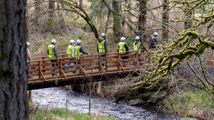 Photo of construction workers in a forest