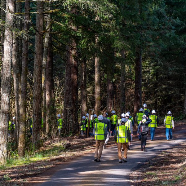 Photo of construction workers in a forest