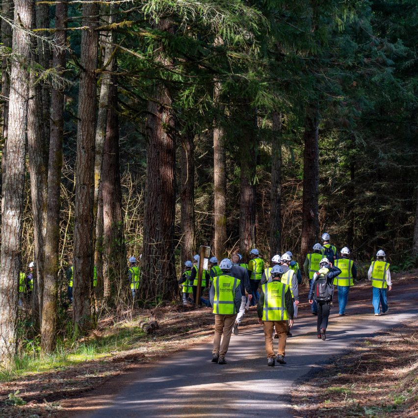 Photo of construction workers in a forest