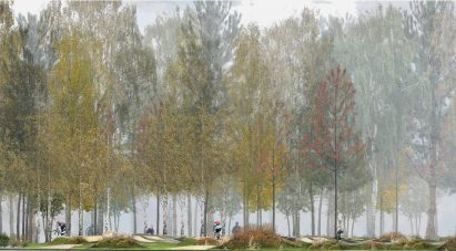Illustration of trees