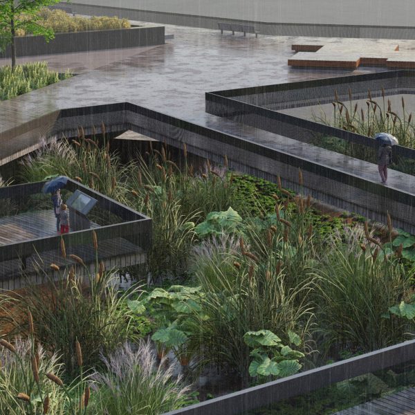 a visualisation of a garden in tones of green