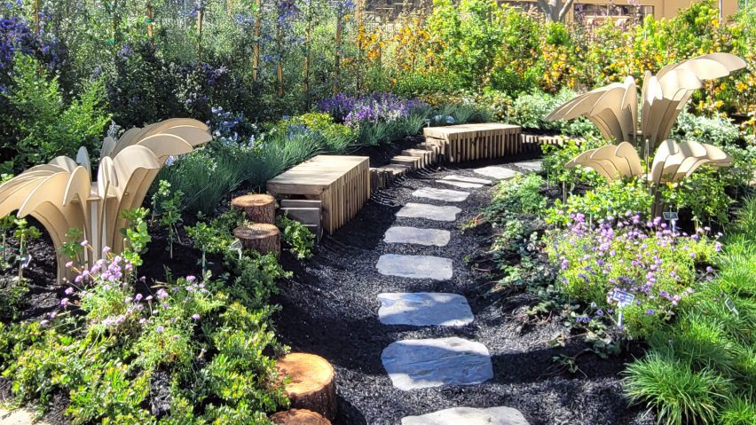 an image of a garden