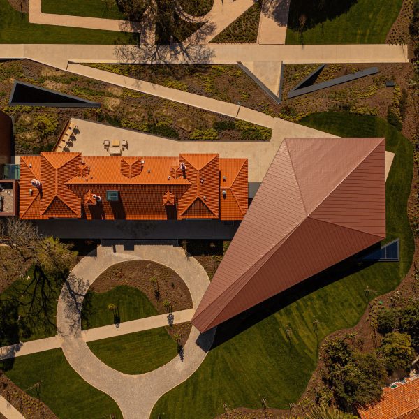 Museum with cantilevered roof