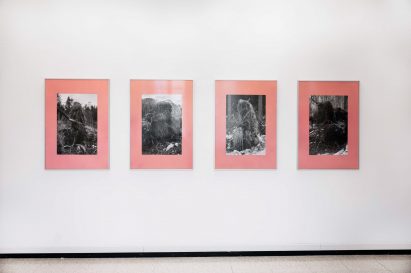a photograph of framed images hung on a white wall
