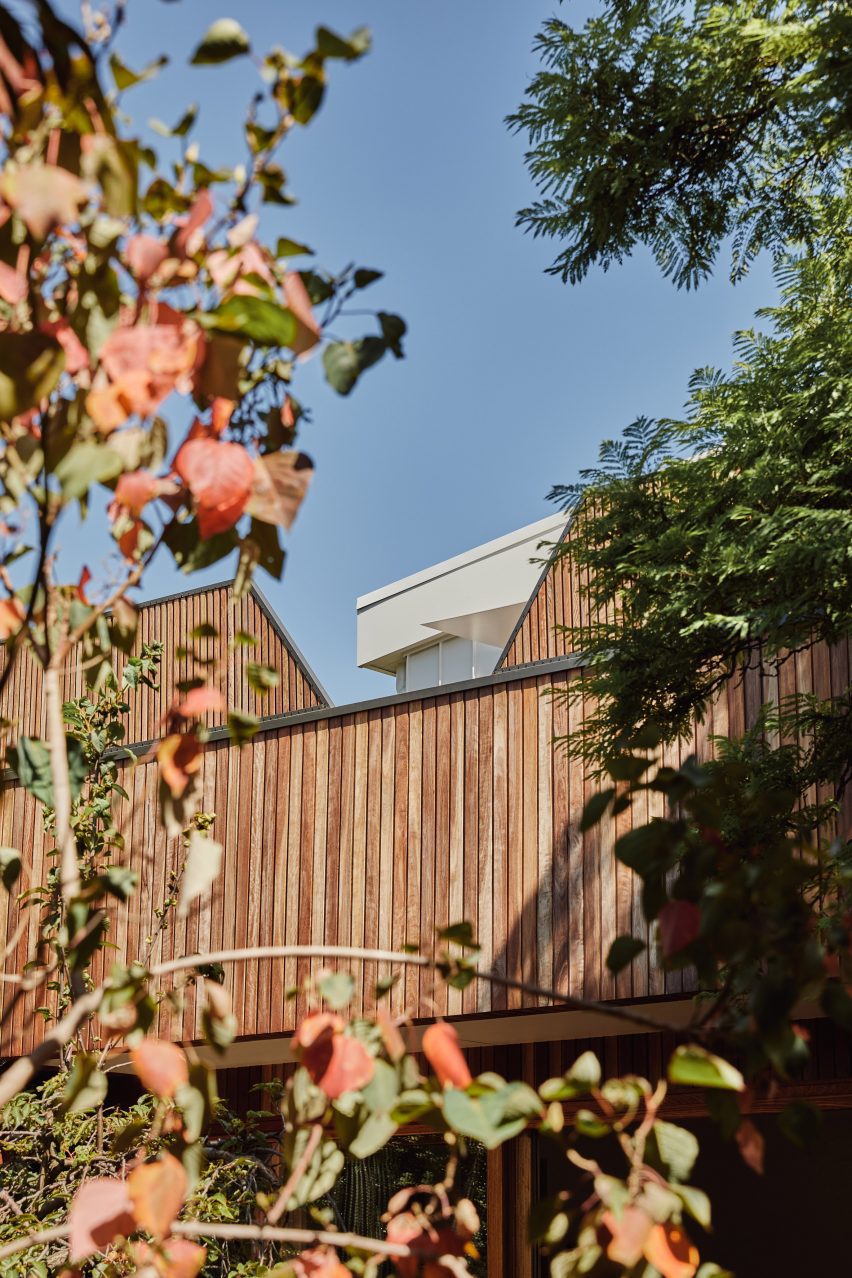 Cereus House by Circle Studio Architects