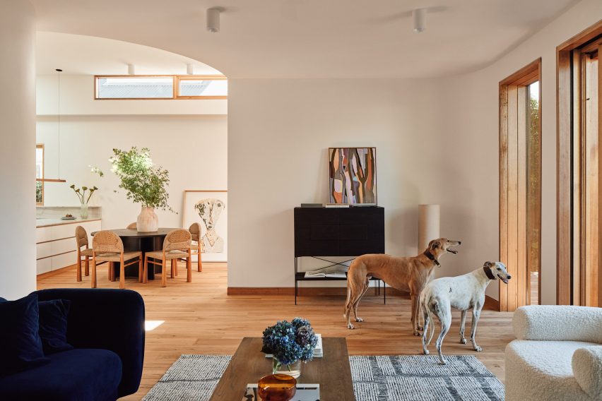 Cereus House by Circle Studio Architects