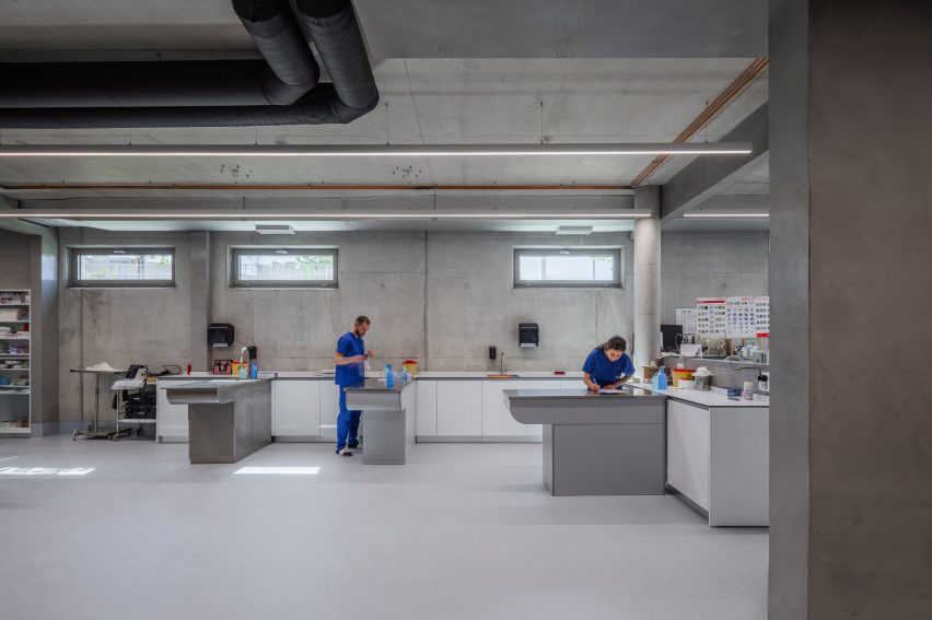 Vet hospital in Albania by Davide Macullo Architects