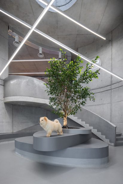 Interior of a vet hospital in Albania