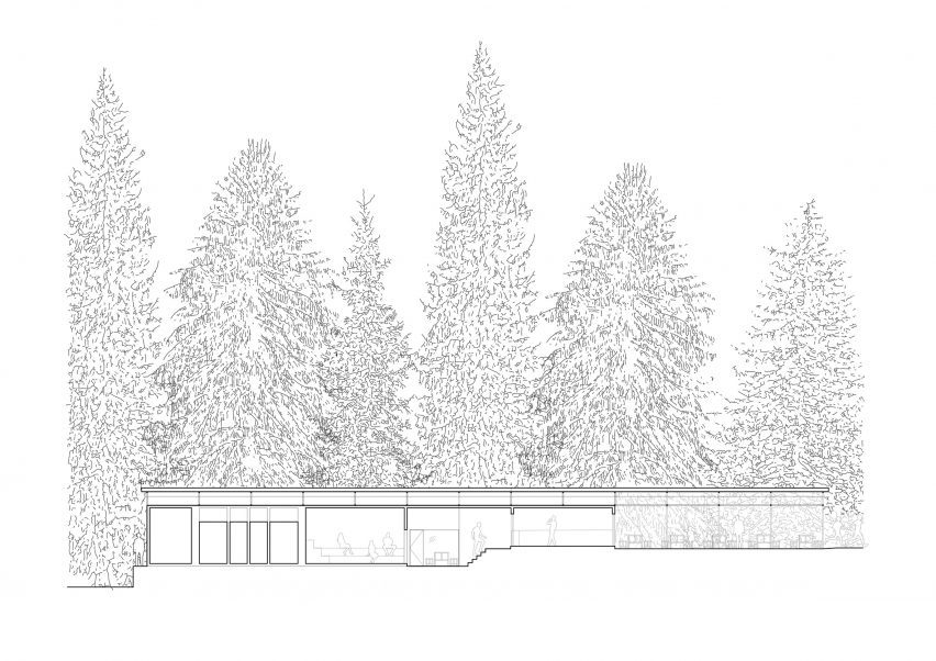 Section of Forest Pool by Mjolk Architekti and Marie Vondrakova