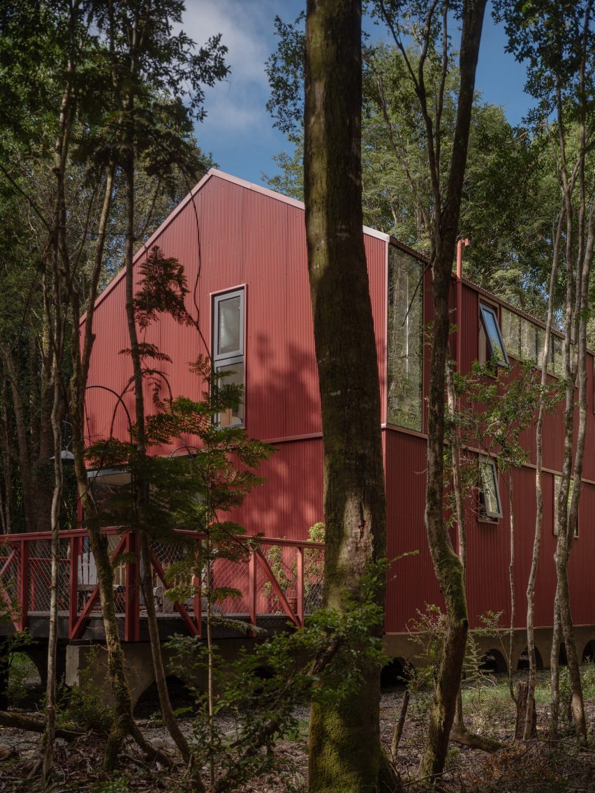 House in the Forest by Daiber Aceituno Arquitectos