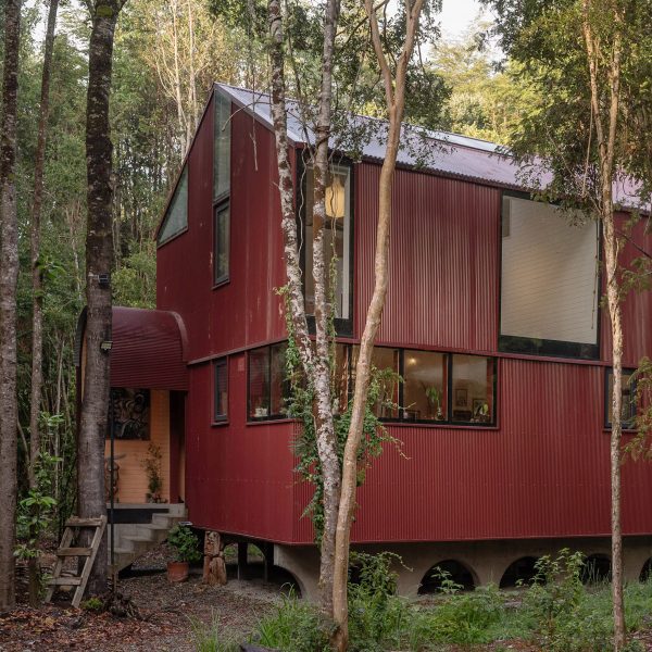 House in the Forest by Daiber Aceituno