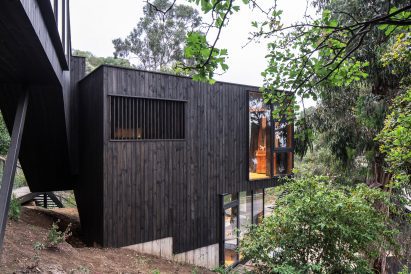 Black-clad chilean house