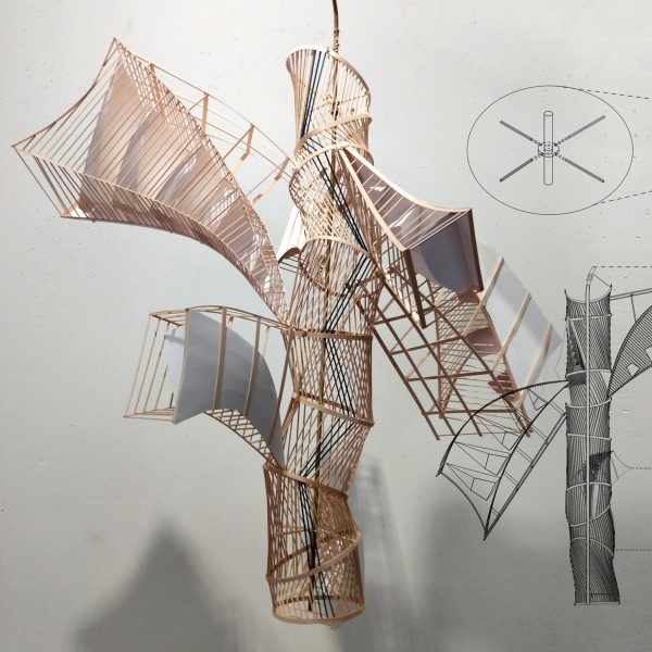 a photograph of a design for a kite