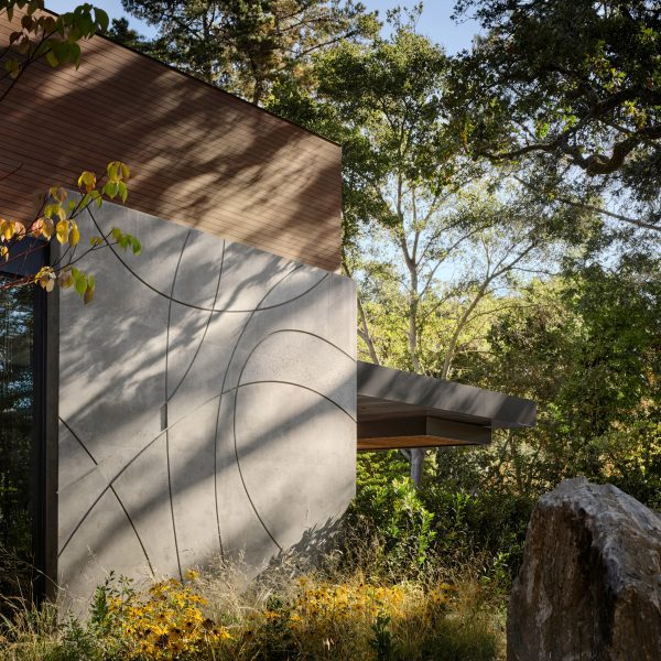 Aidlin Darling Design sculpts concrete bas relief into California house