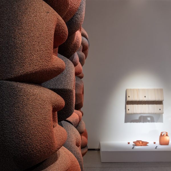 Photo of The Transspecies Rosette by Andrés Jaque in profile on the wall at the Design Museum London