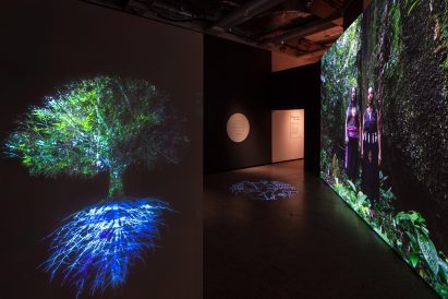 Photo of an immersive video work with forest themes in the More Than Human exhibition