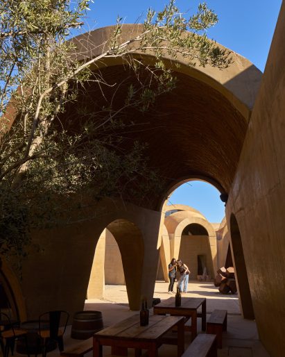 Vaulted winery in Mexico