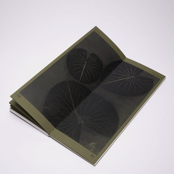 a photograph of a printed book in tones of green and black