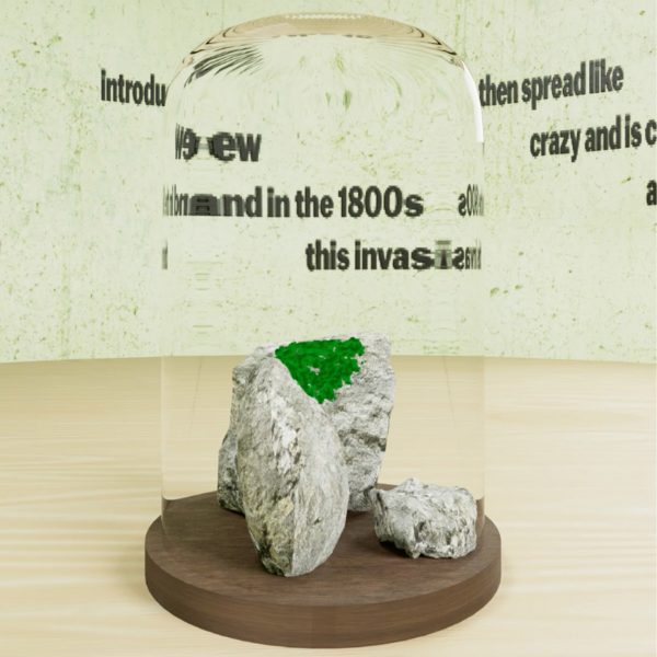 a render showing a rock with green plants growing on it
