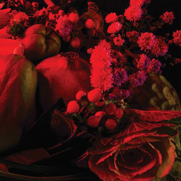 a photograph of flowers under a red light