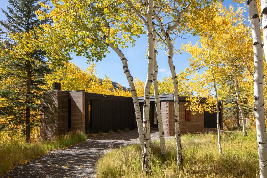 The Perch by Studio B