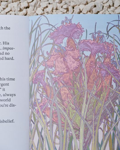 Close-up photo of a page showing a flower illustration from the book The Down Under