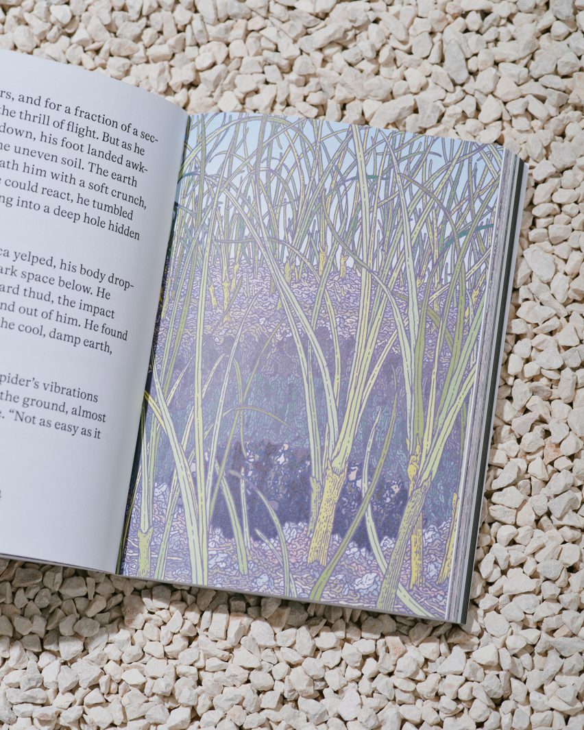 Photo of a page from The Down Under book showing an full-page close-up illustration of tall grasses in soft pastel colours