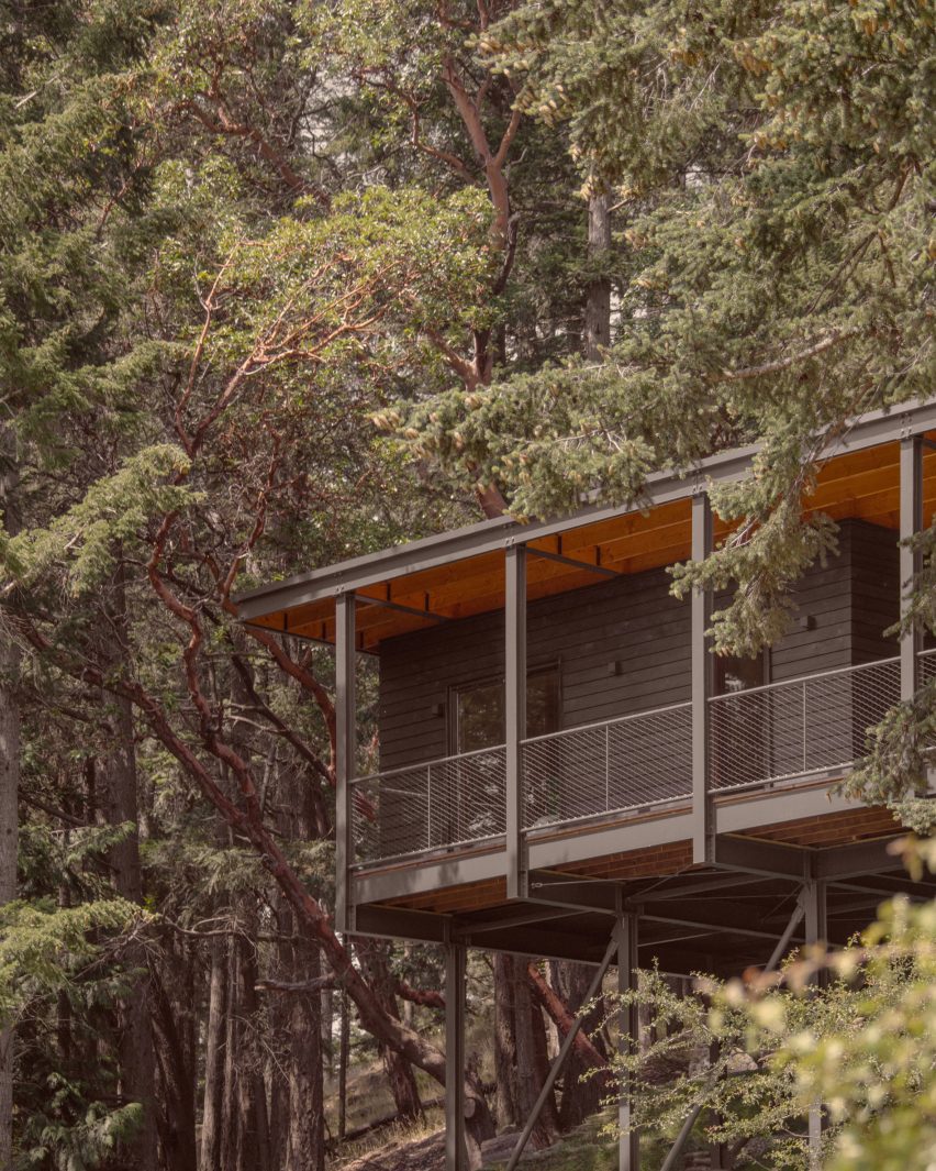 Porch overlooking forest