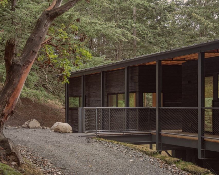 Driveway leading up to cabin
