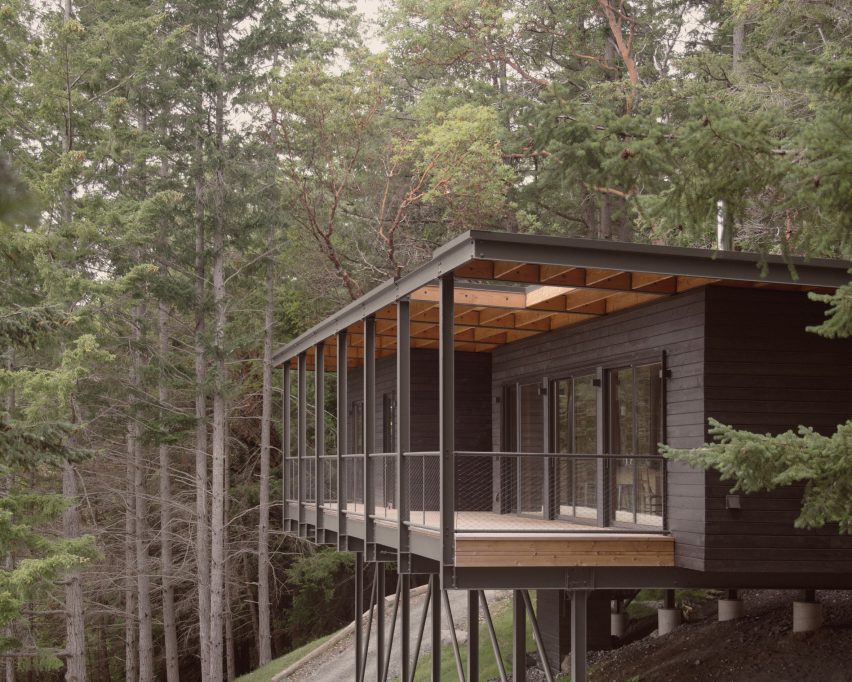 Black cabin in forest
