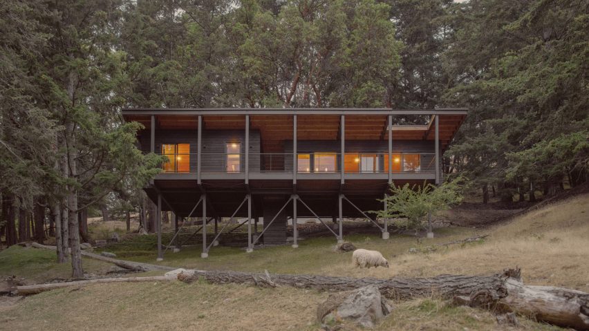 Cabin in woods