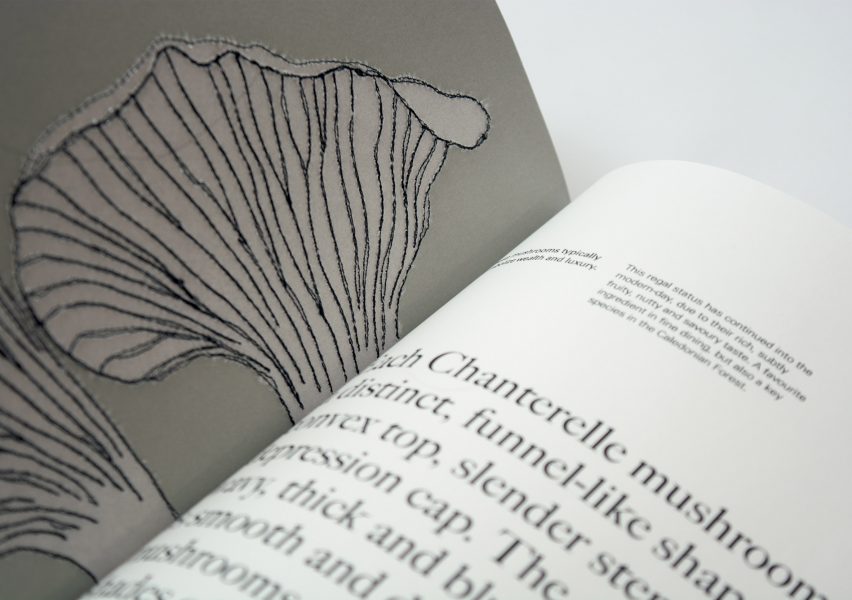 a photograph of a book in tones of white and grey with black text on it