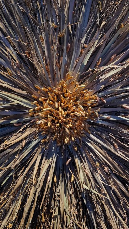 a cropped photograph of an abstract structure in tones of beige, brown and grey