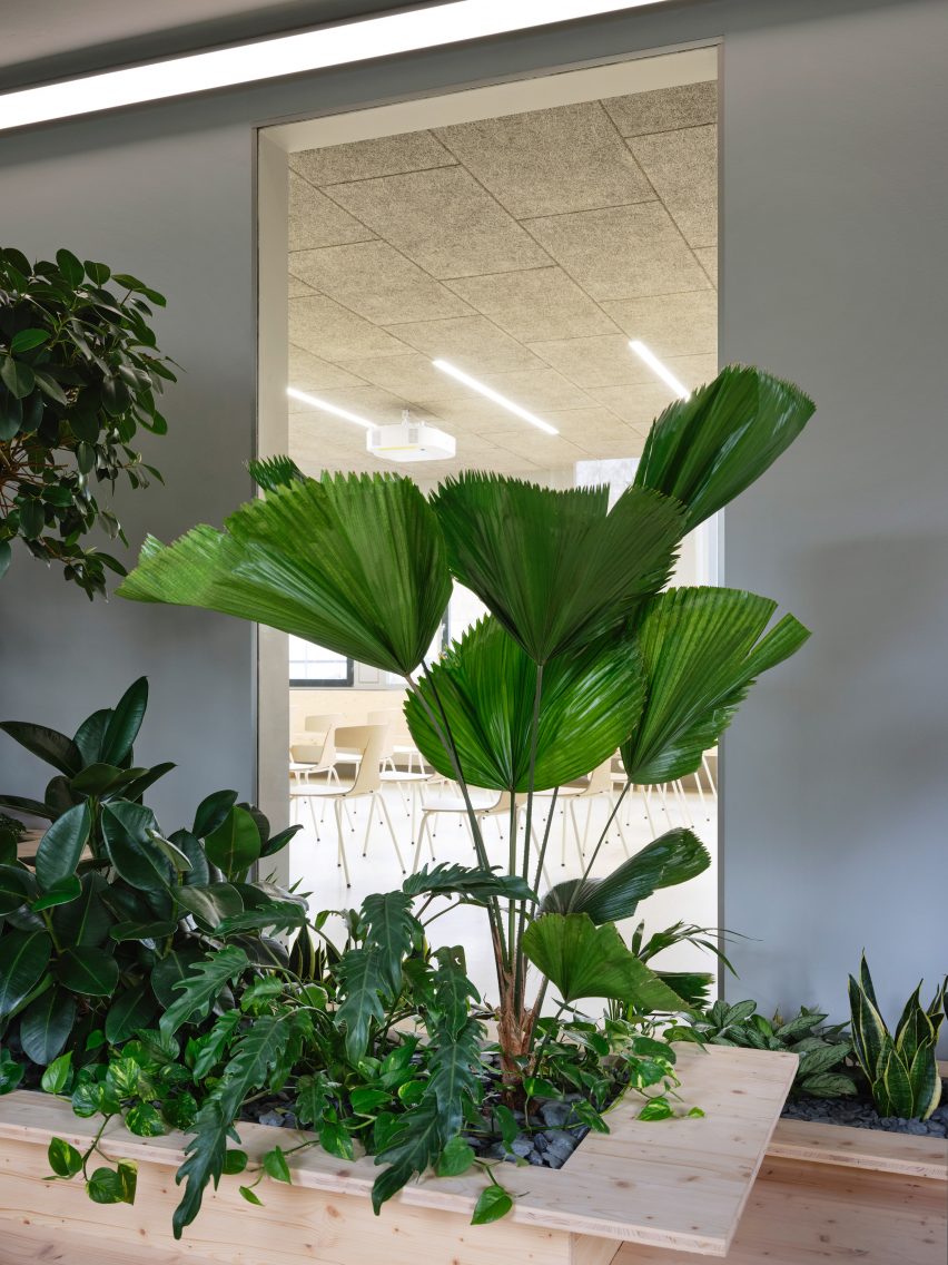 Zeller & Moye embed plants throughout German office