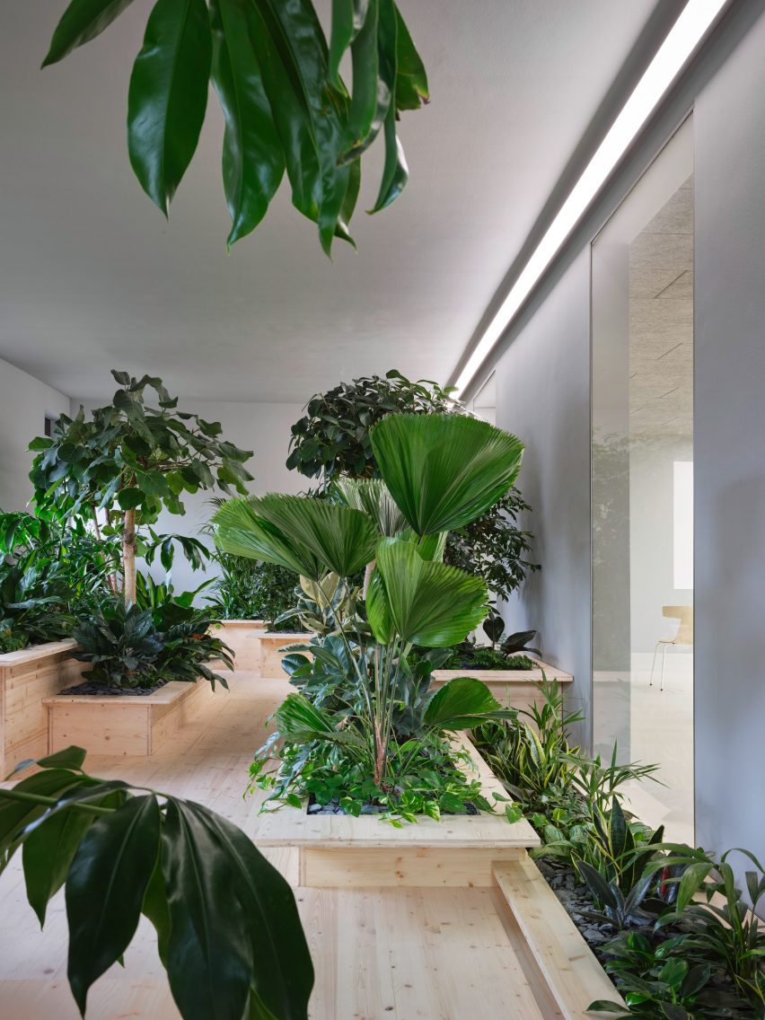 Zeller & Moye embed plants throughout German office