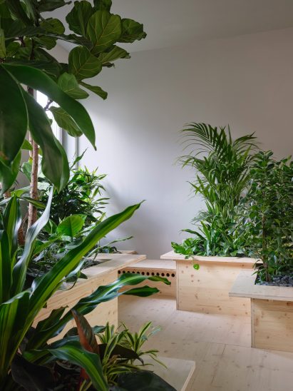 Zeller & Moye embed plants throughout German office