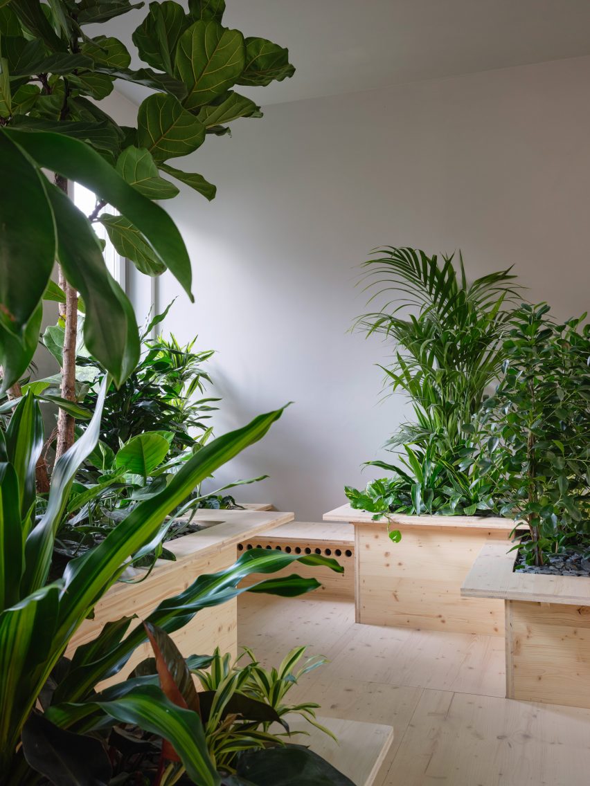 Zeller & Moye embed plants throughout German office