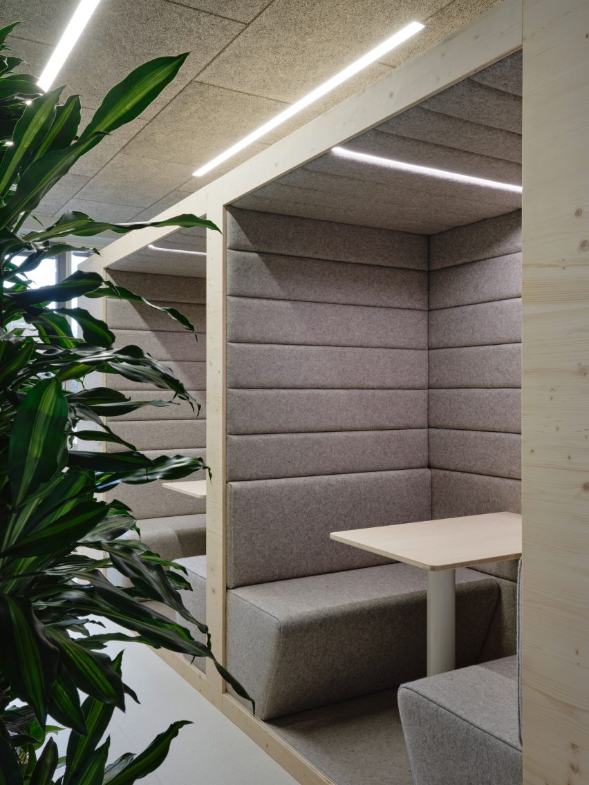 Zeller & Moye embed plants throughout German office