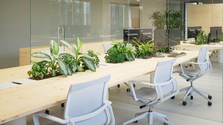 Zeller & Moye embed plants throughout German office