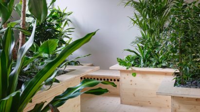 Zeller & Moye embed plants throughout German office