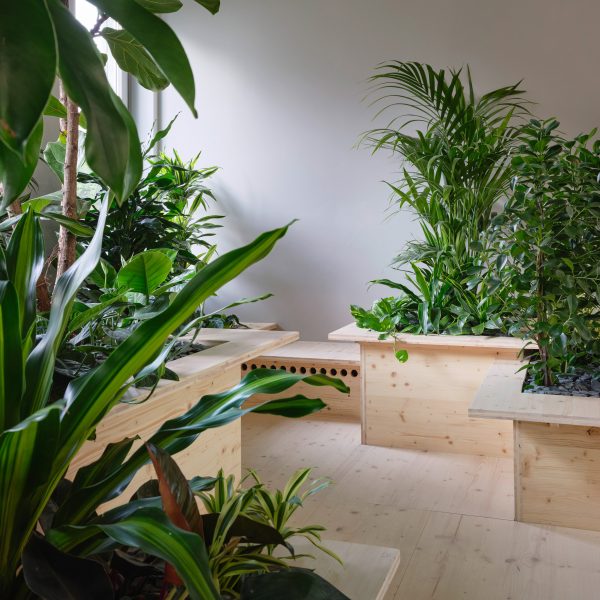 Zeller & Moye embed plants throughout German office